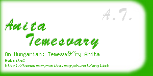 anita temesvary business card